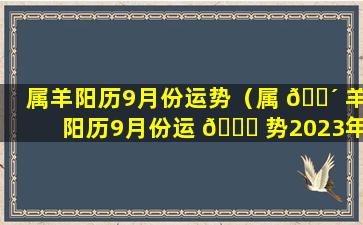 属羊阳历9月份运势（属 🐴 羊阳历9月份运 🐅 势2023年运势如何）